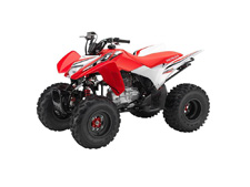 New 2017 HONDA TRX250X RED / WHITE Maybe specialization is fine if you’re talking about insects. But in the world of a great all-around sport ATV, versatility is the key to having a good time. You want a machine that can fit a wide range of riders, abilities and terrains. And that ATV is the Honda TRX250X.